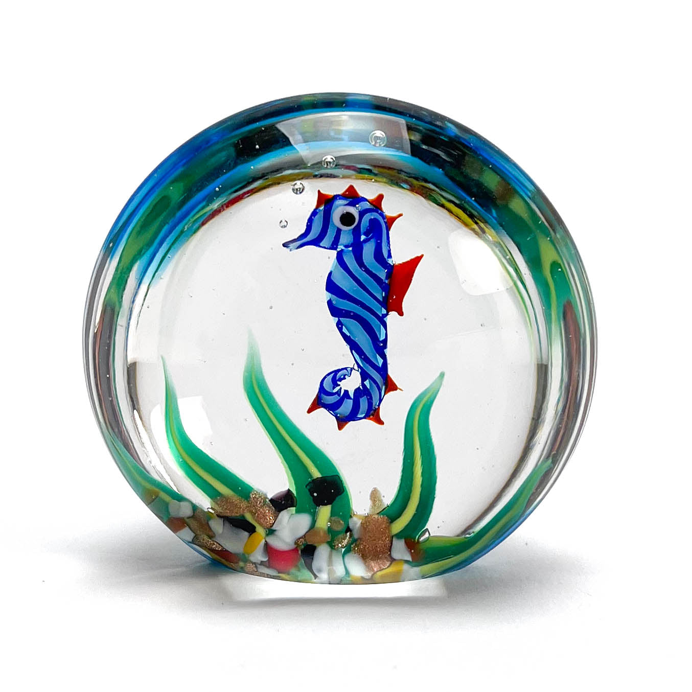 Aquarium miniature with sea horse