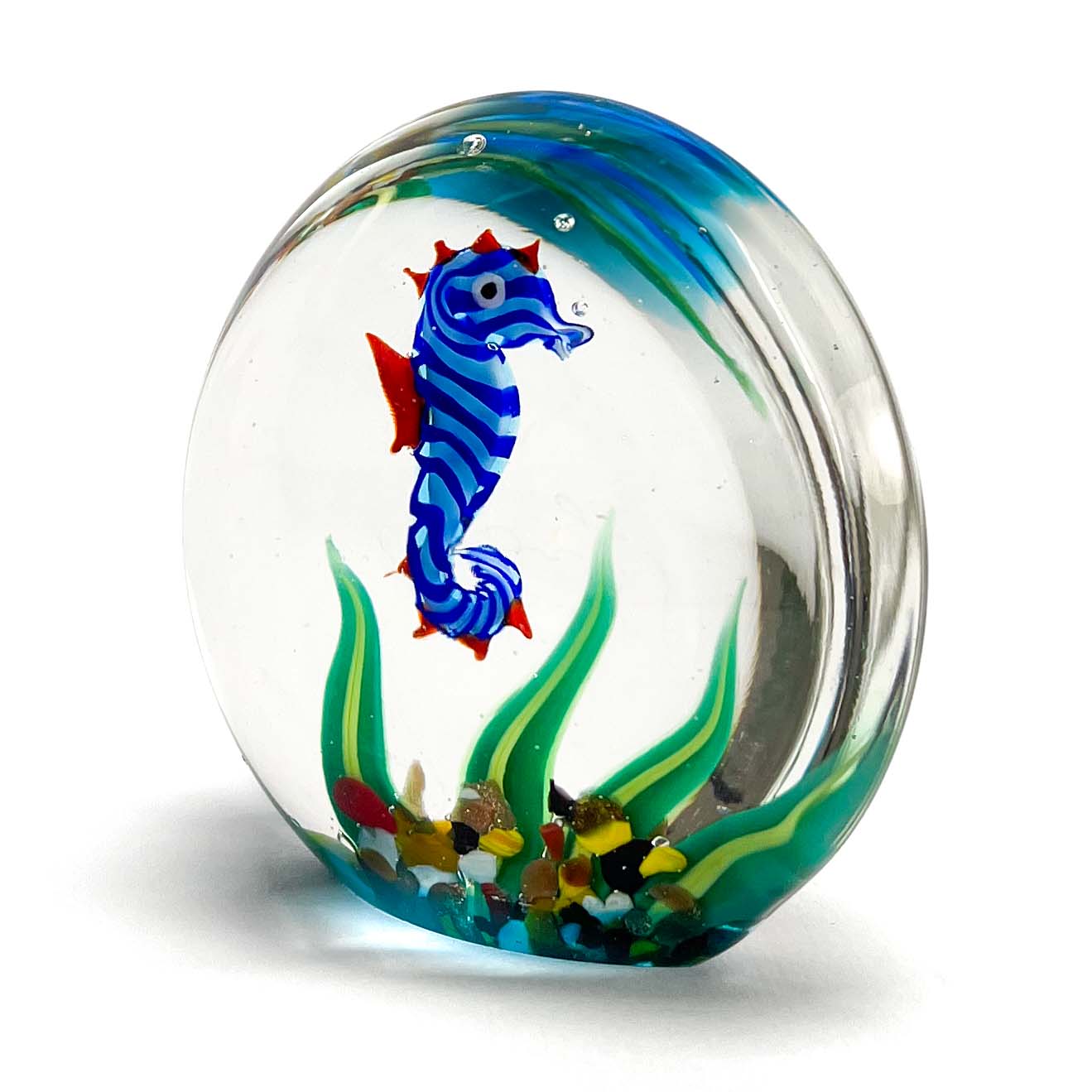 Aquarium miniature with sea horse