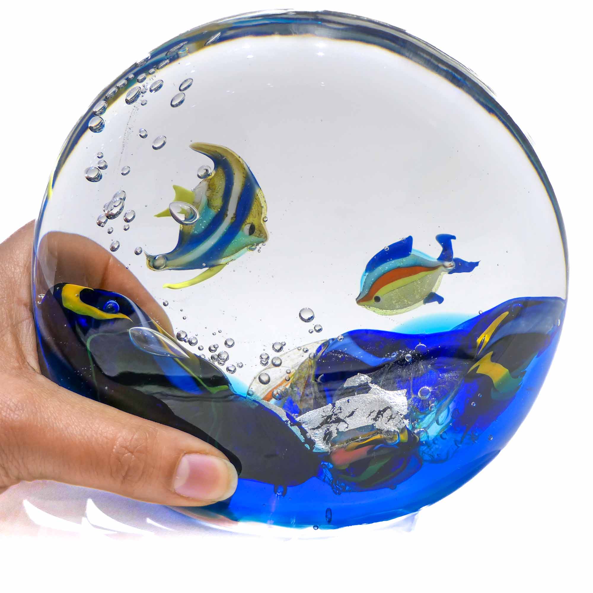 Rounded Aquarium