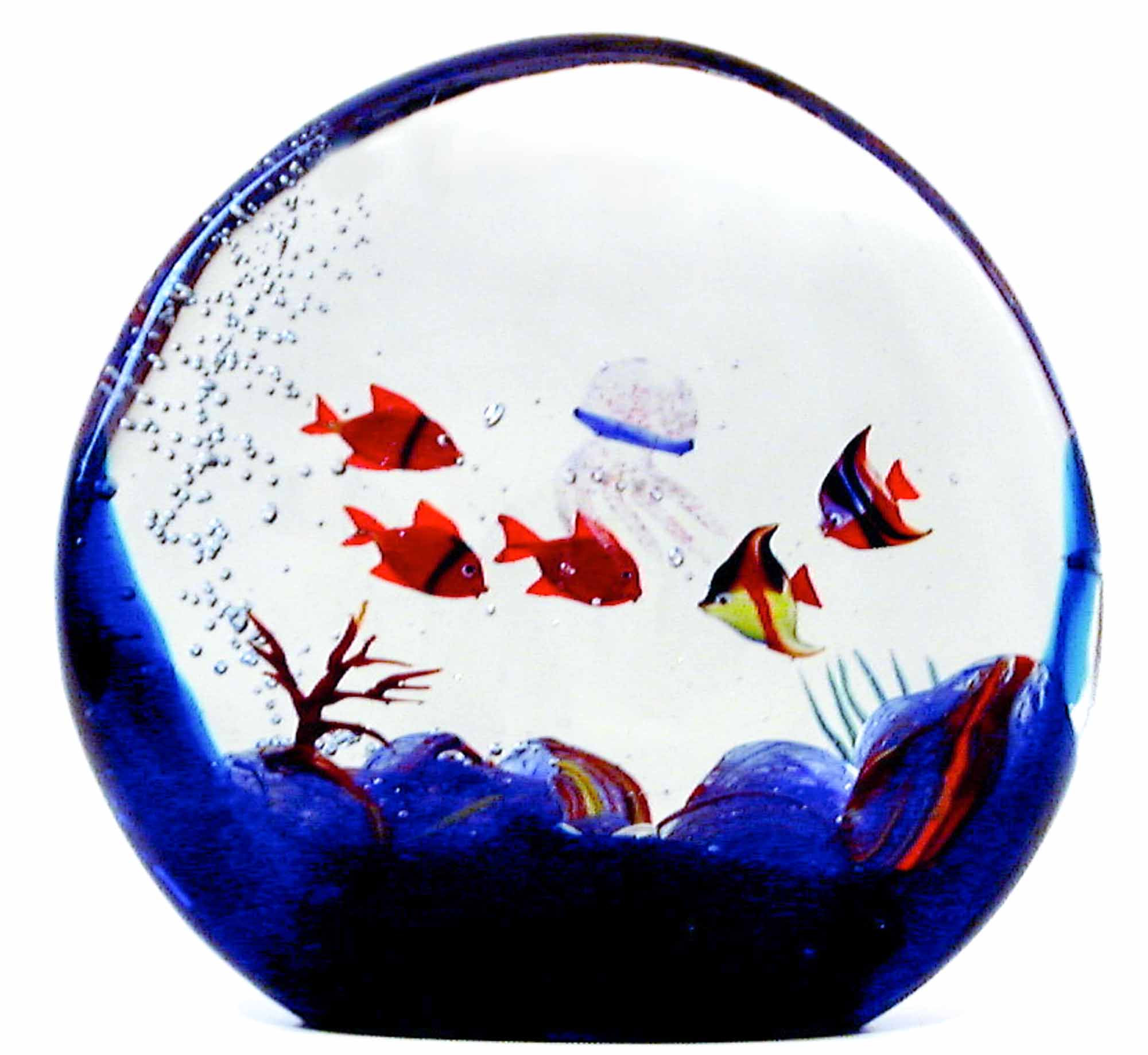 Rounded Aquarium