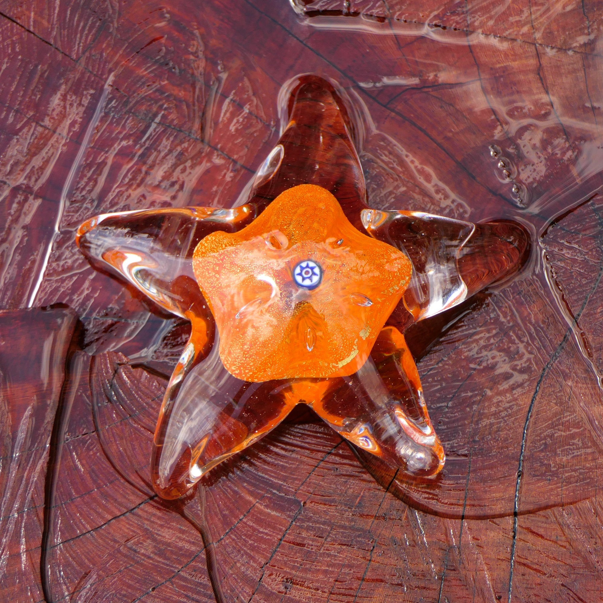 Stella Marina con Murrine e Foglia Oro, Arancio - Vetro di Murano