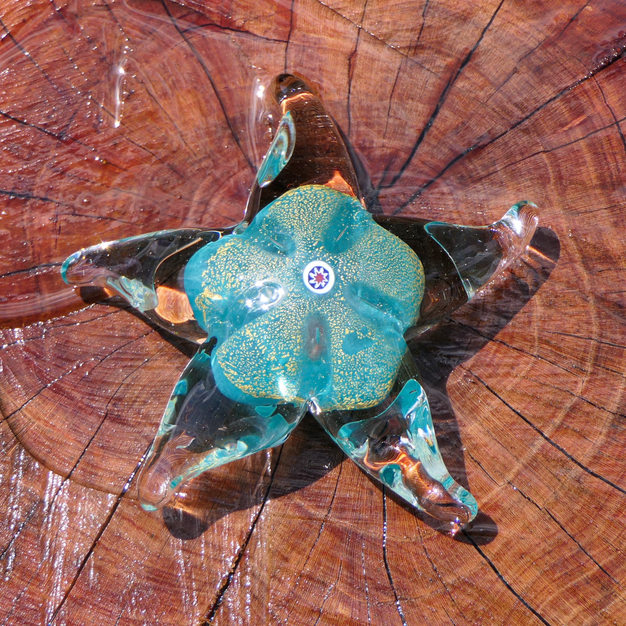 Étoile de mer avec murrine et feuille d'or, bleu clair - Verre de Murano