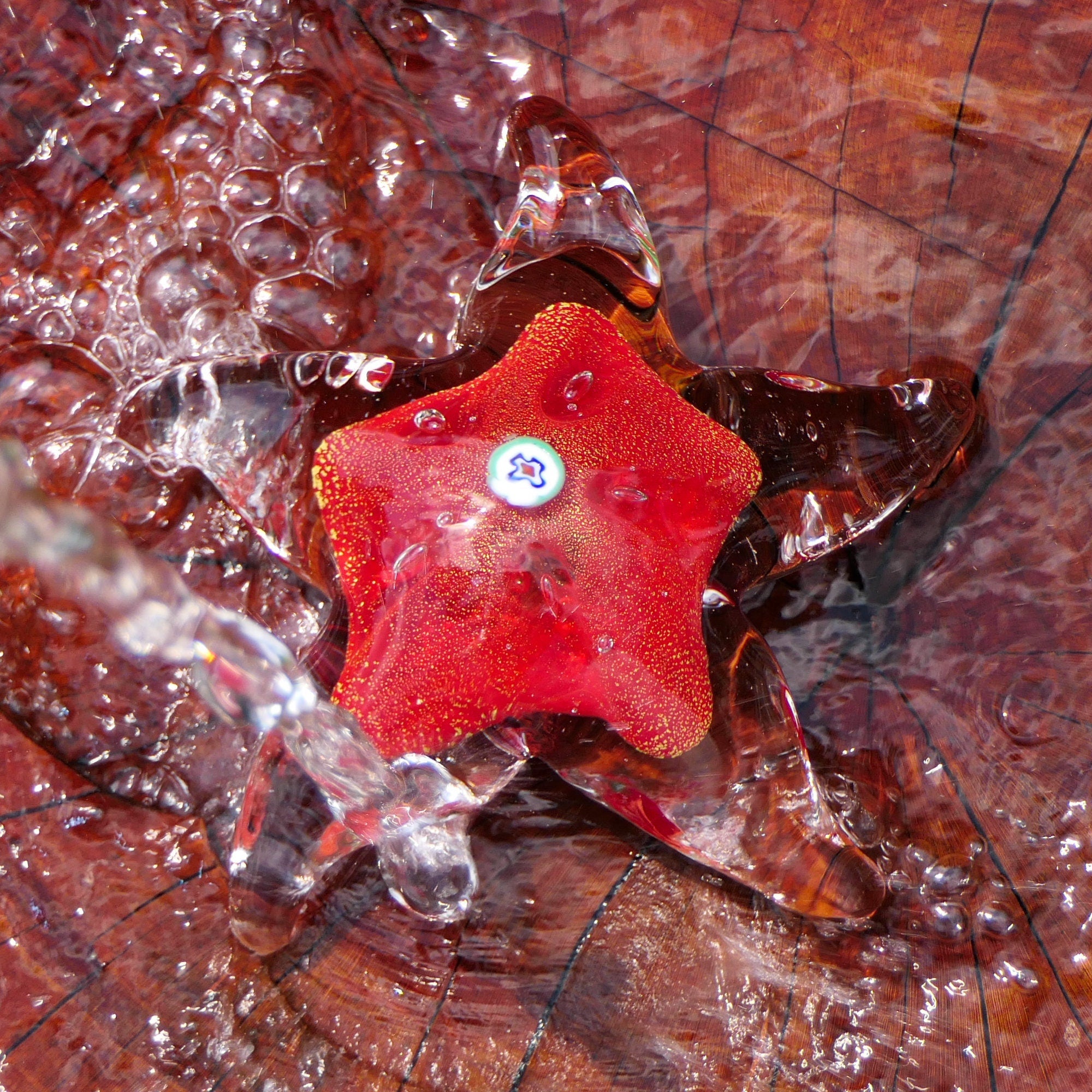 Stella Marina con Murrine e Foglia Oro, Rosso - Vetro di Murano