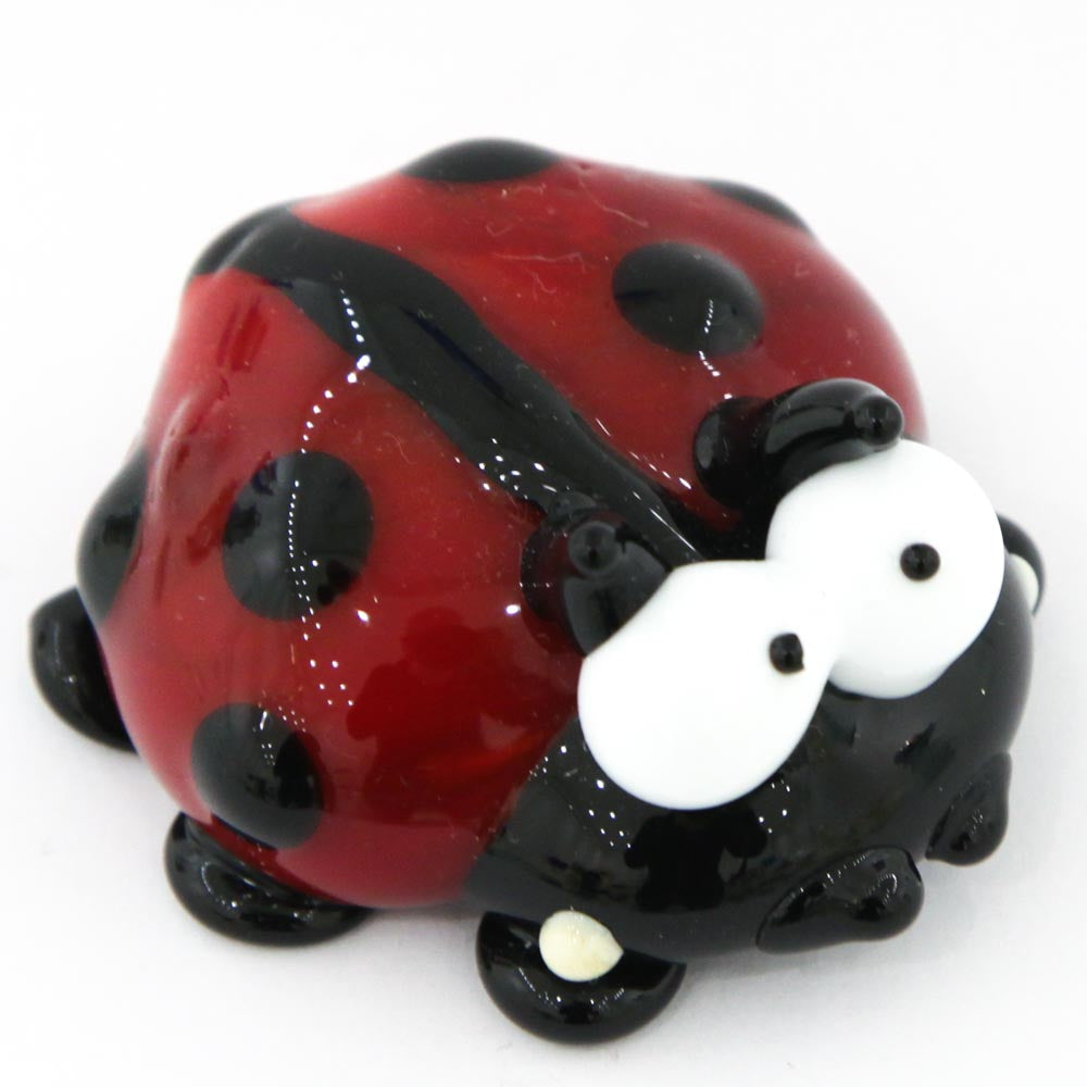 Ladybug