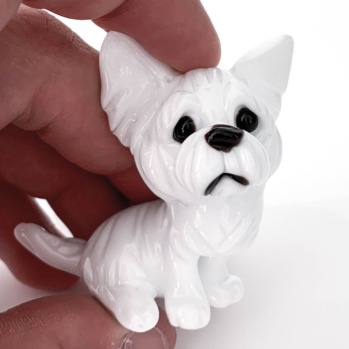 Dog miniature