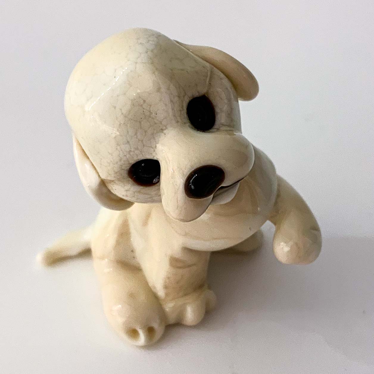 Dog miniature