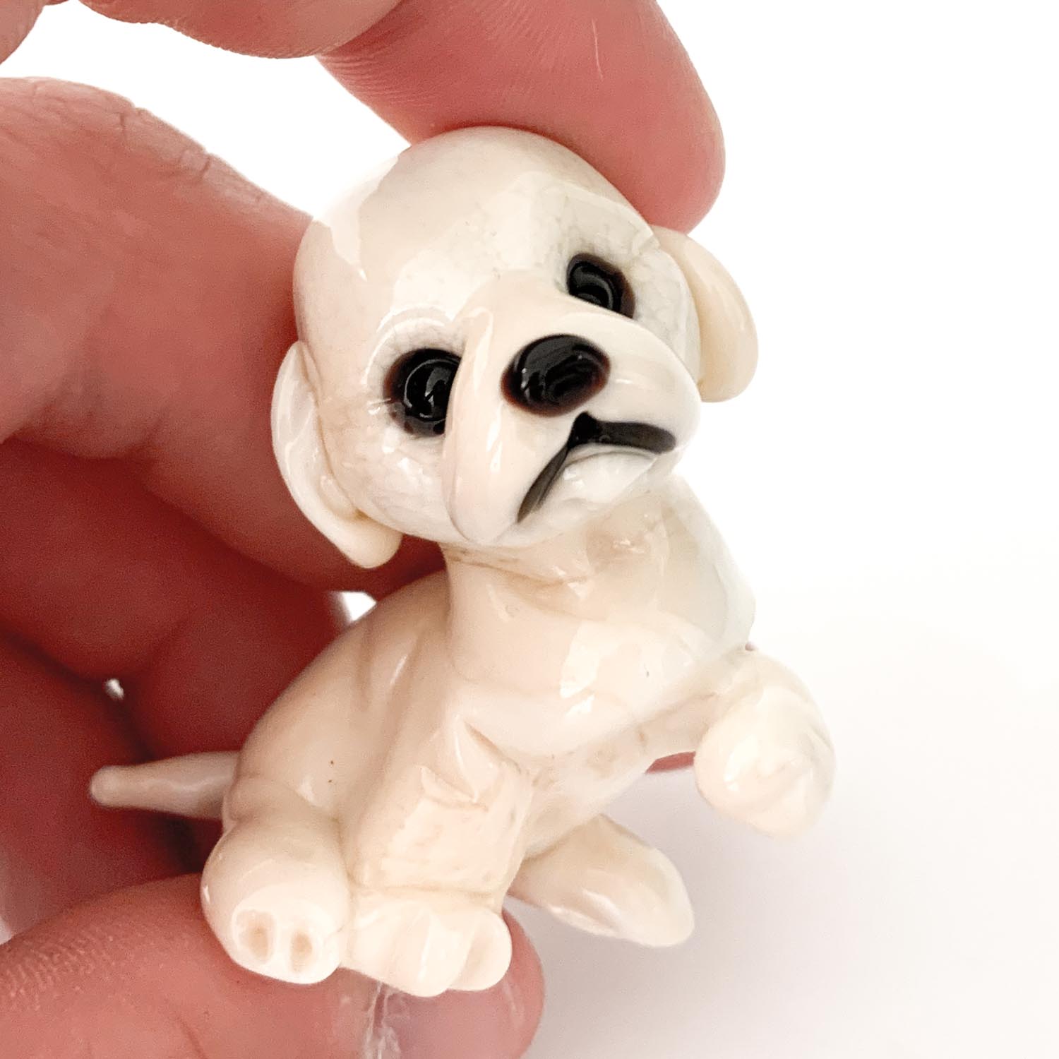 Dog miniature