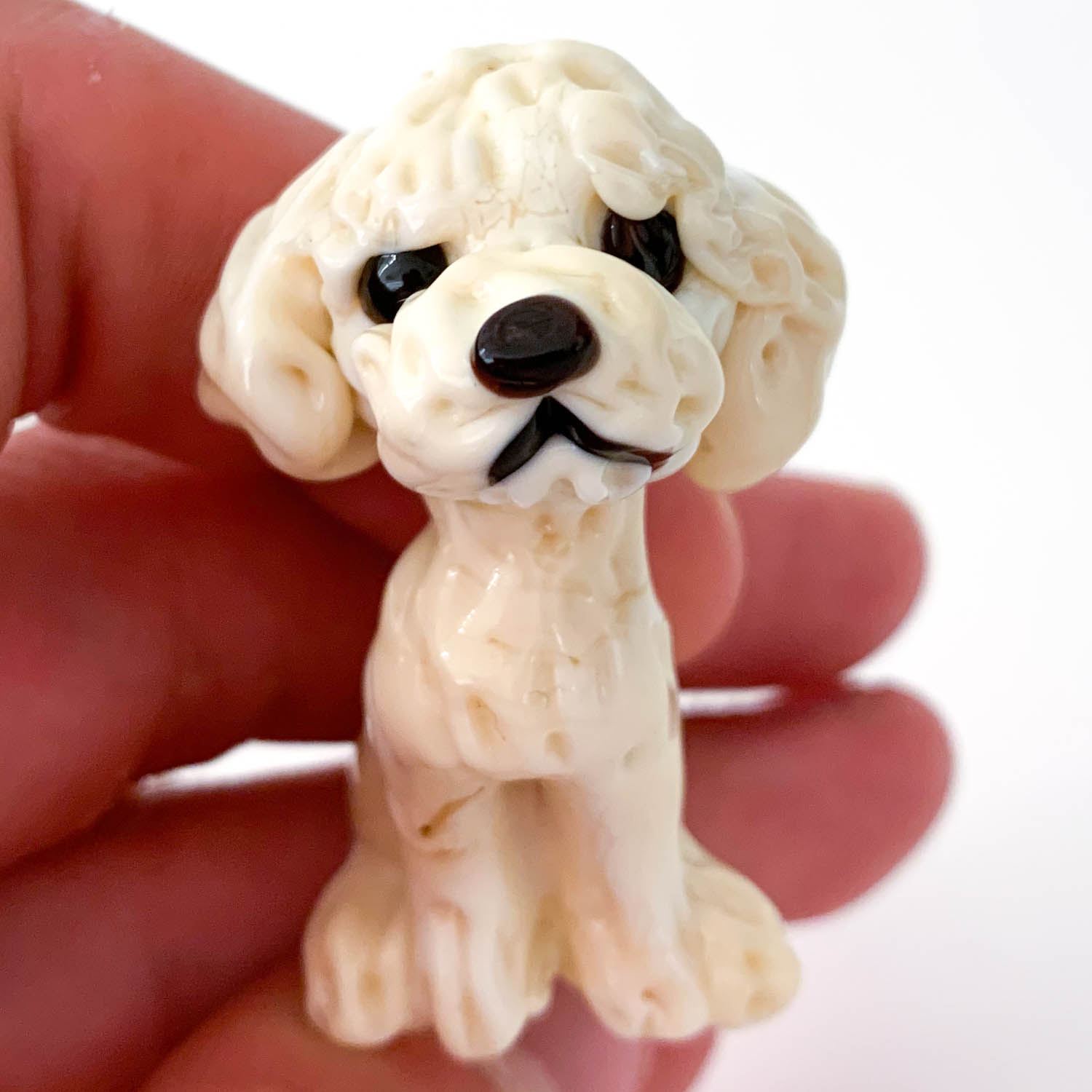 Dog miniature