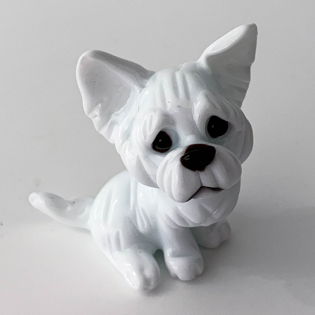 Dog miniature