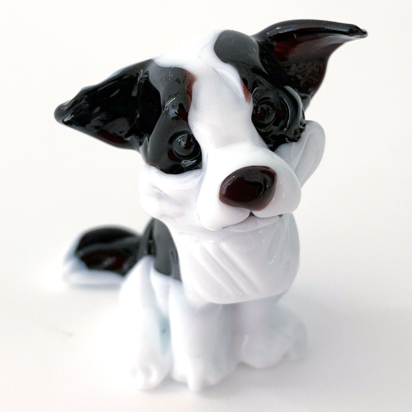 Dog miniature