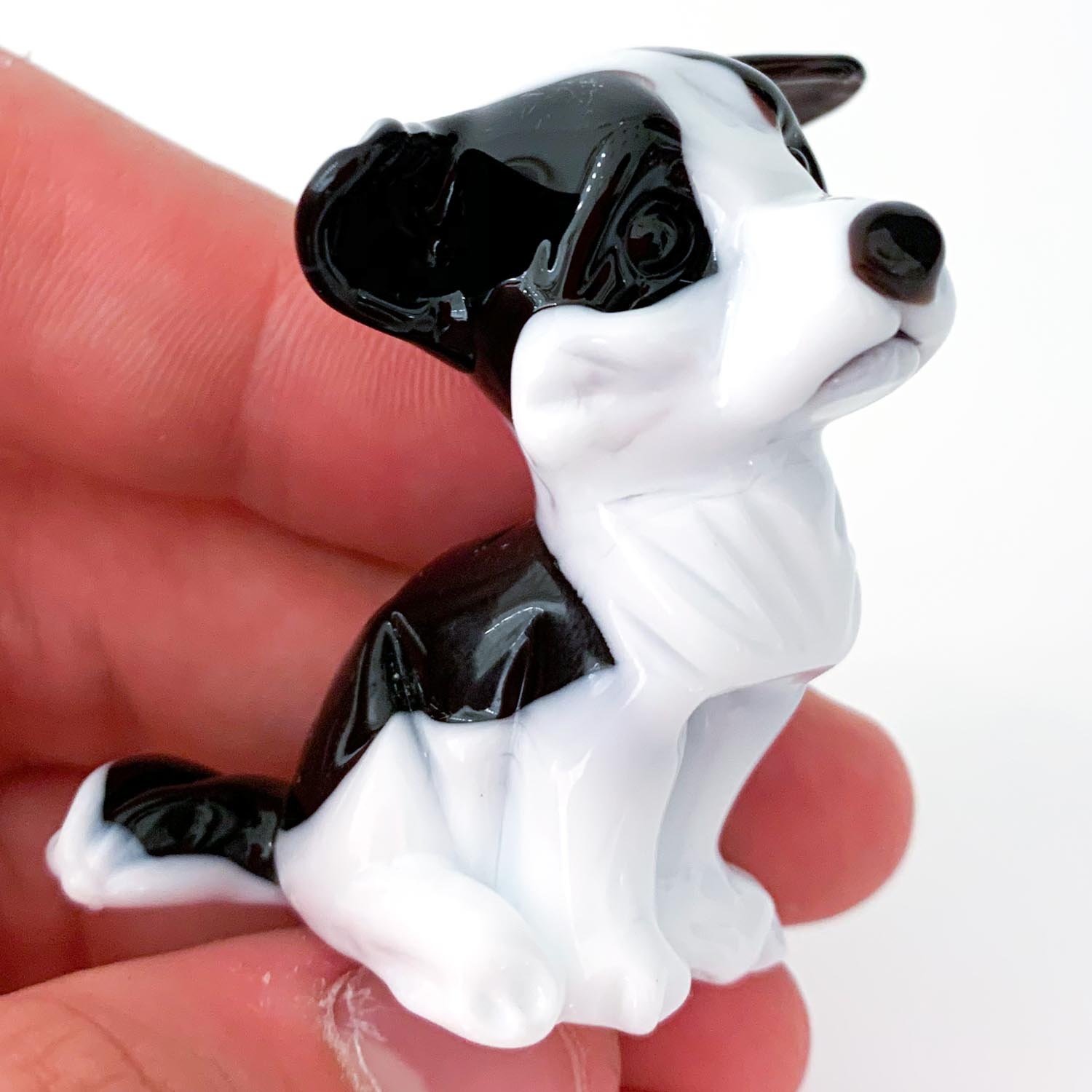 Dog miniature