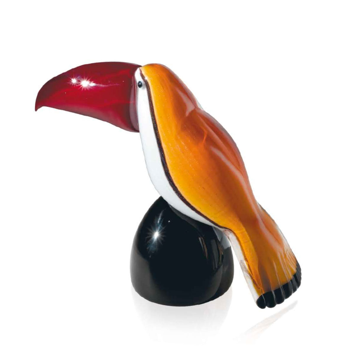 Toucan Red Beak